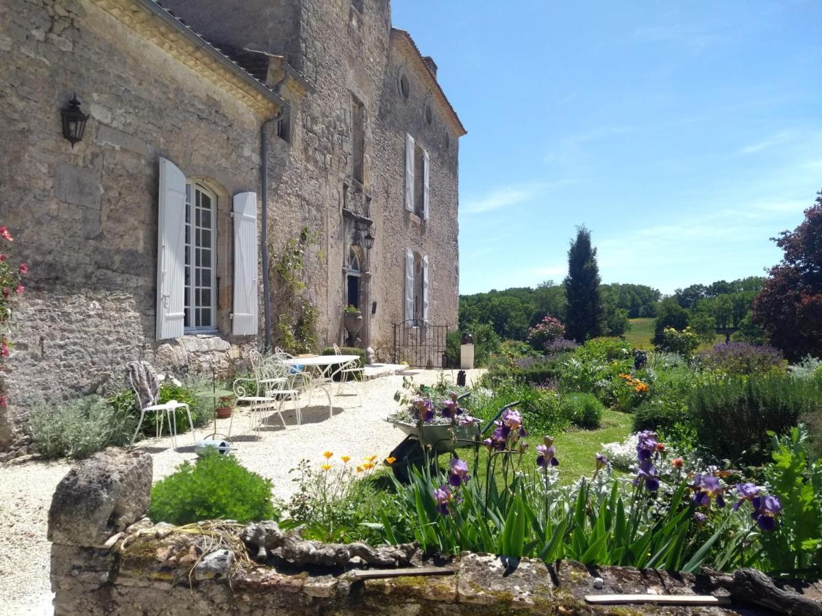 Chateau Barayre - Beautiful 12Th Century Castle With Pool And Large Garden Laussou Bagian luar foto